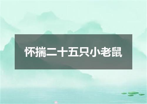 怀揣二十五只小老鼠