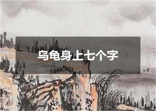 乌龟身上七个字