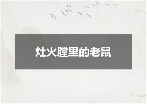 灶火膛里的老鼠