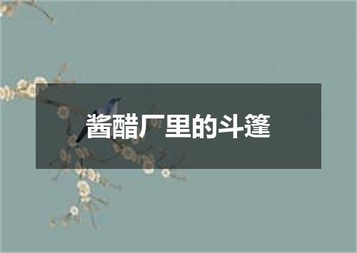 酱醋厂里的斗篷