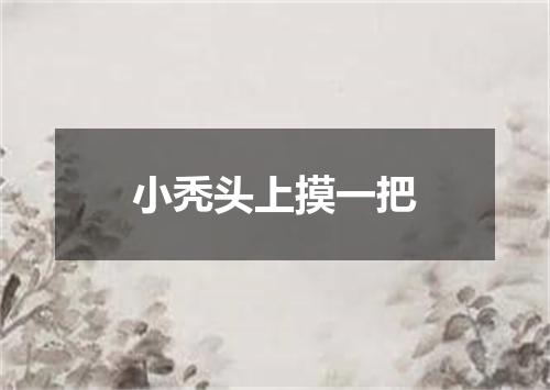 小秃头上摸一把