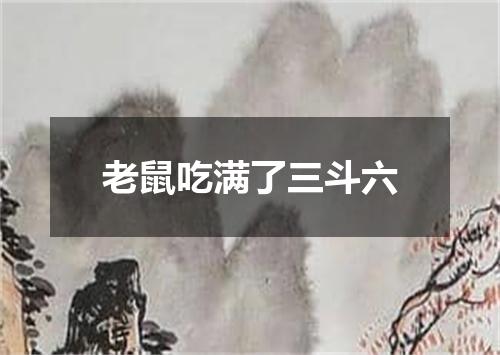 老鼠吃满了三斗六