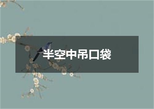 半空中吊口袋