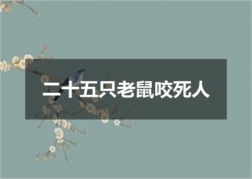 二十五只老鼠咬死人
