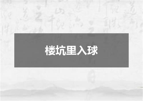 楼坑里入球