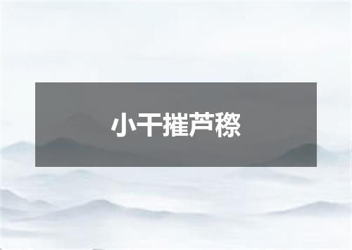 小干摧芦穄