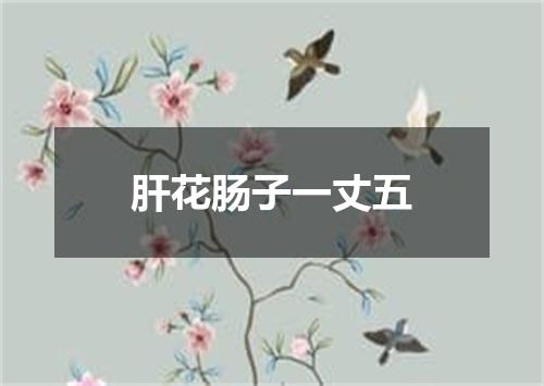 肝花肠子一丈五
