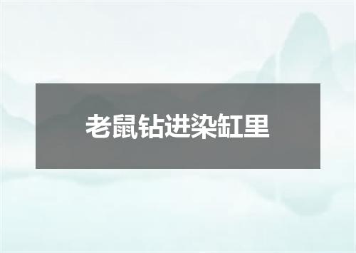 老鼠钻进染缸里