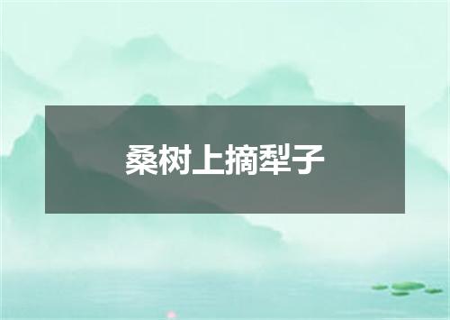 桑树上摘犁子