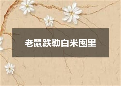 老鼠跌勒白米囤里