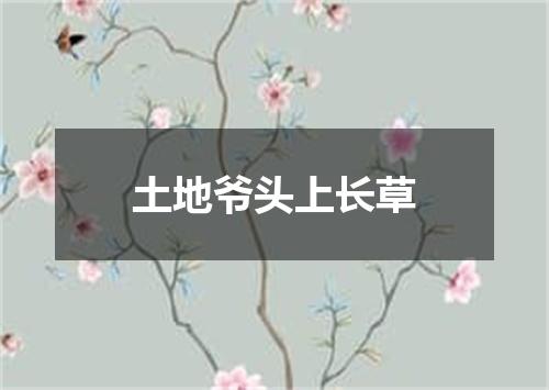 土地爷头上长草
