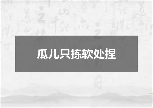 瓜儿只拣软处捏