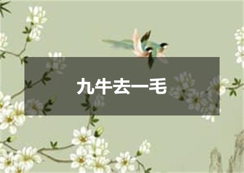 九牛去一毛