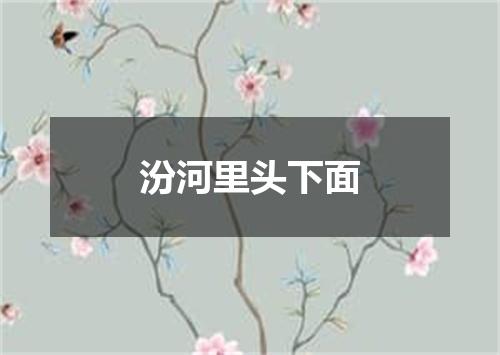 汾河里头下面