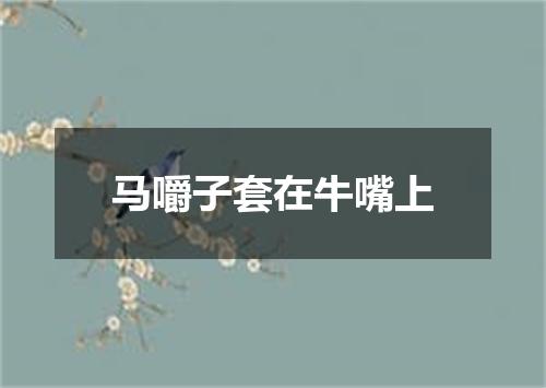 马嚼子套在牛嘴上