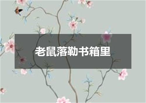 老鼠落勒书箱里