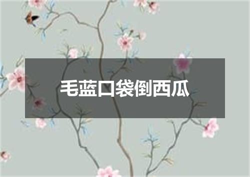 毛蓝口袋倒西瓜