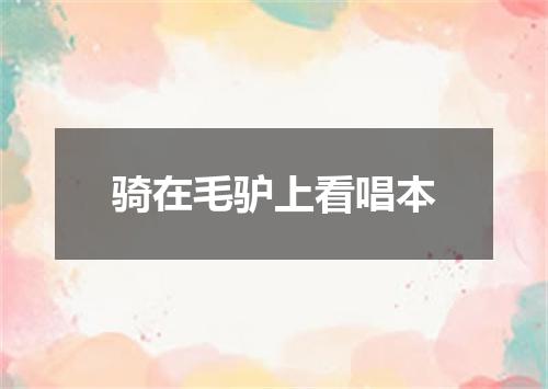 骑在毛驴上看唱本