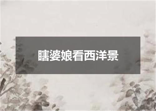 瞎婆娘看西洋景