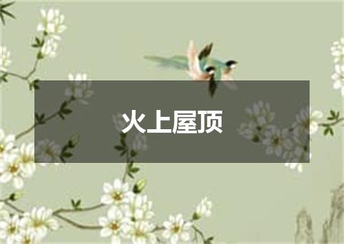 火上屋顶