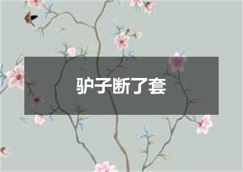 驴子断了套