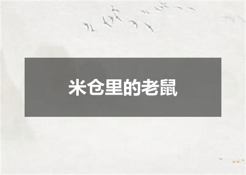 米仓里的老鼠