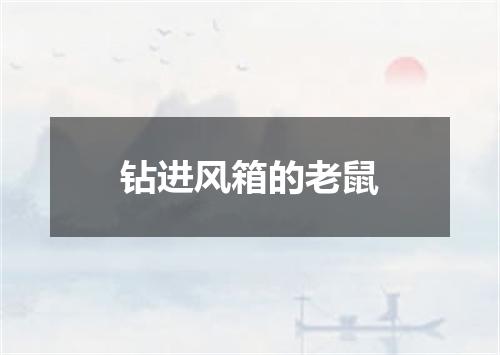 钻进风箱的老鼠