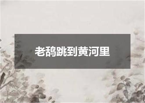 老鸹跳到黄河里