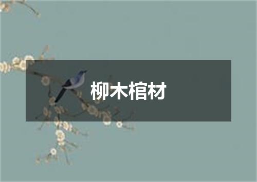 柳木棺材