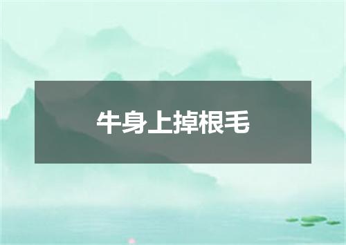 牛身上掉根毛