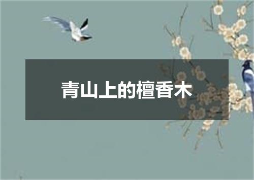 青山上的檀香木