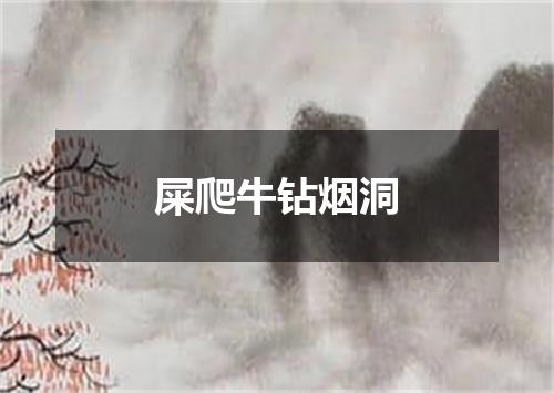 屎爬牛钻烟洞