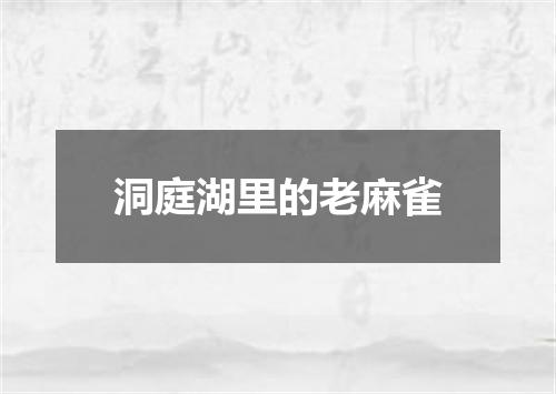 洞庭湖里的老麻雀