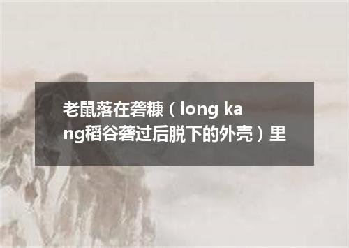 老鼠落在砻糠（long kang稻谷砻过后脱下的外壳）里