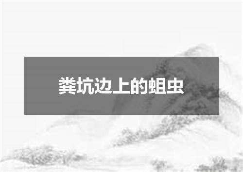 粪坑边上的蛆虫