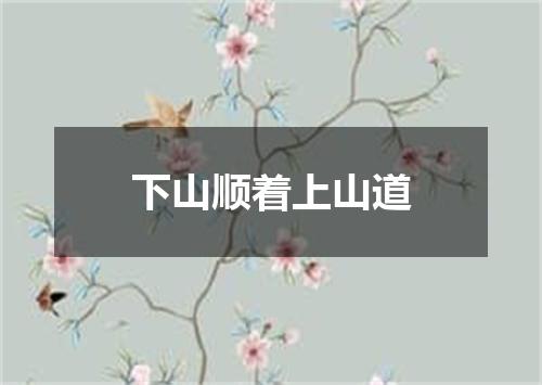 下山顺着上山道
