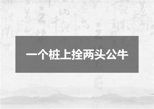一个桩上拴两头公牛