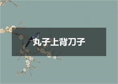 丸子上背刀子