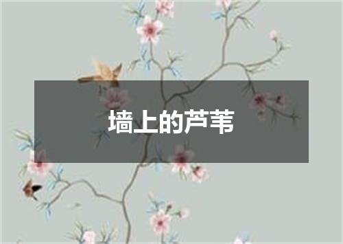 墙上的芦苇