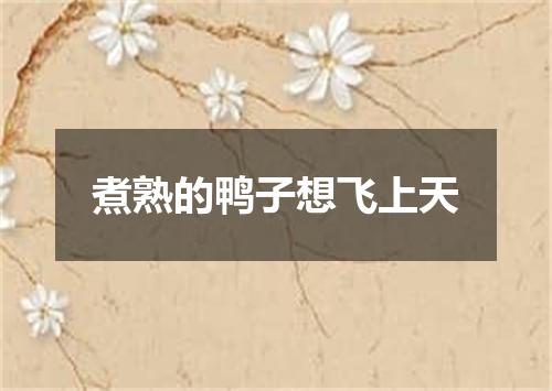 煮熟的鸭子想飞上天