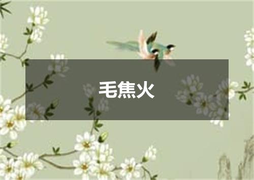 毛焦火