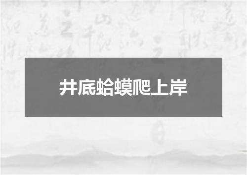 井底蛤蟆爬上岸