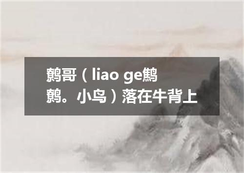 鹩哥（liao ge鹪鹩。小鸟）落在牛背上