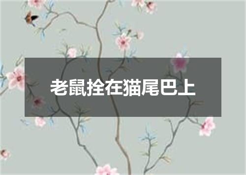 老鼠拴在猫尾巴上