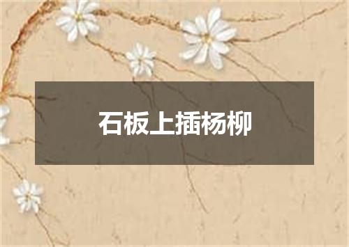石板上插杨柳