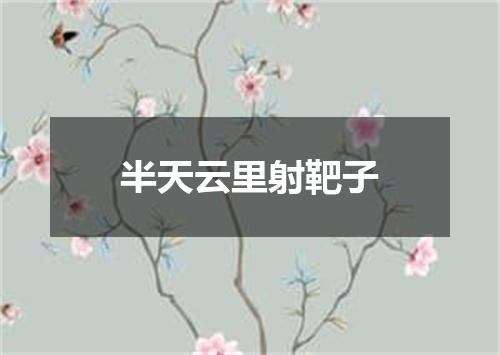 半天云里射靶子