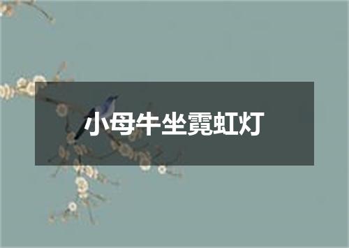 小母牛坐霓虹灯