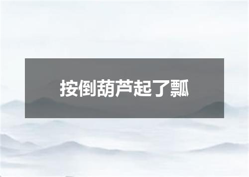 按倒葫芦起了瓢