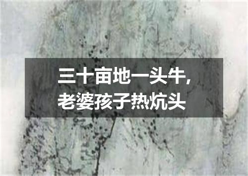 三十亩地一头牛,老婆孩子热炕头