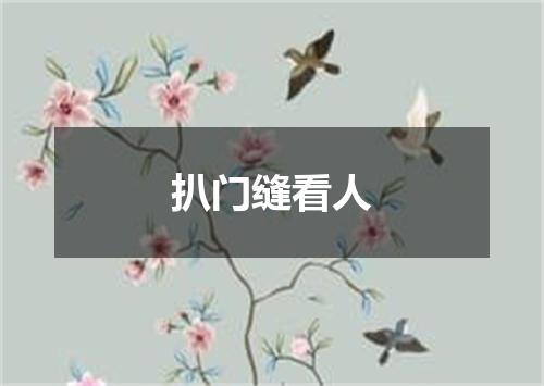 扒门缝看人